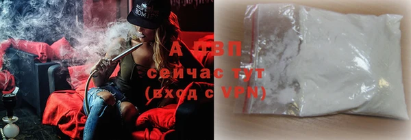 эйфоретик Новокубанск