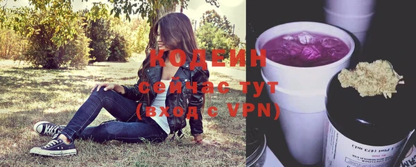 таблы Новозыбков