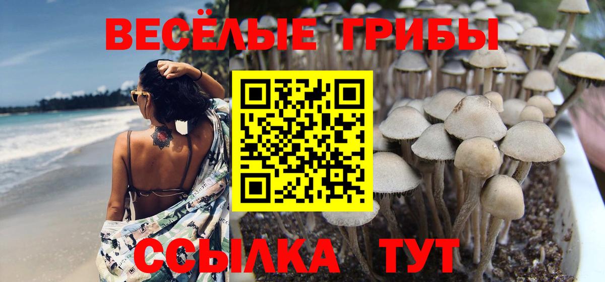 Коммунар  ГАШИШ  MDMA  Каннабис  Гашиш  Вход с VPN  Мефедрон   Метамфетамин 
