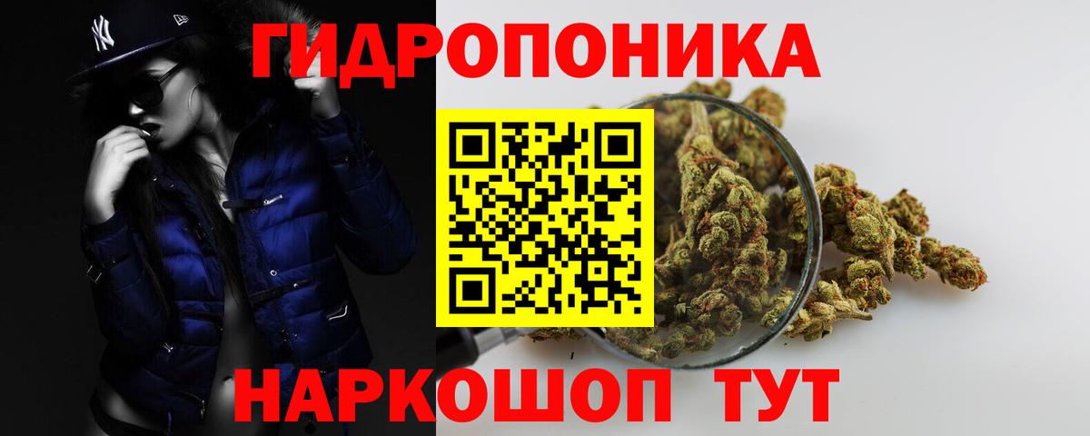 Шишки марихуана OG Kush Коммунар
